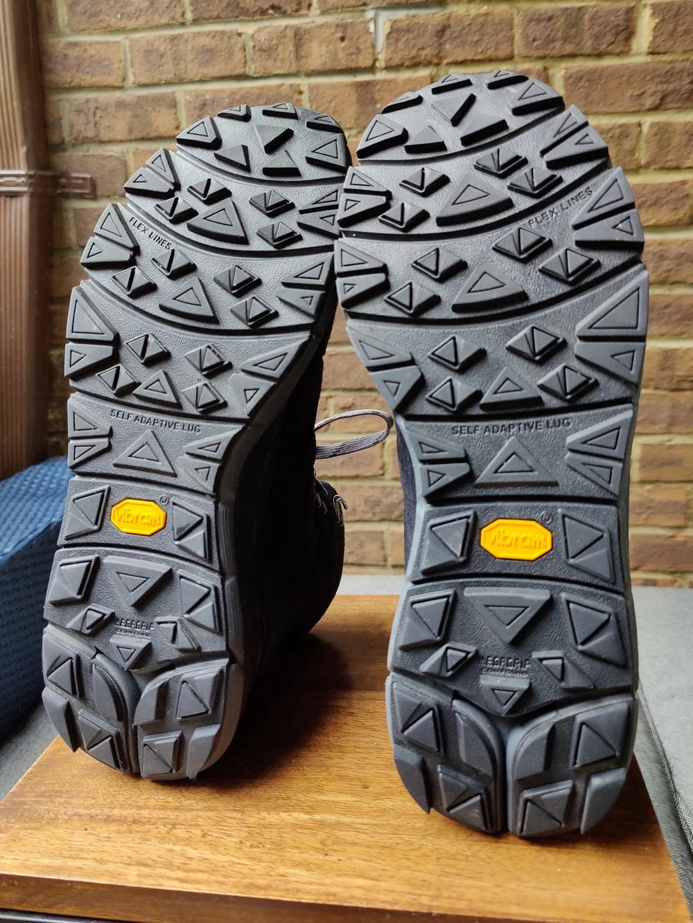 Danner mountain 600
